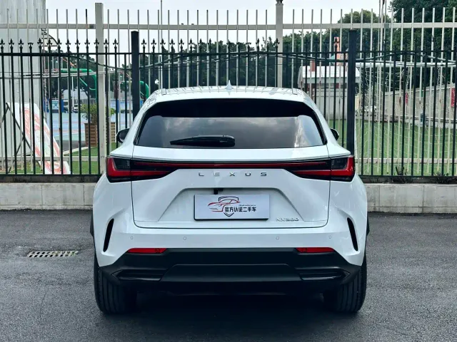 Lexus NX — Фото автомобиля 14