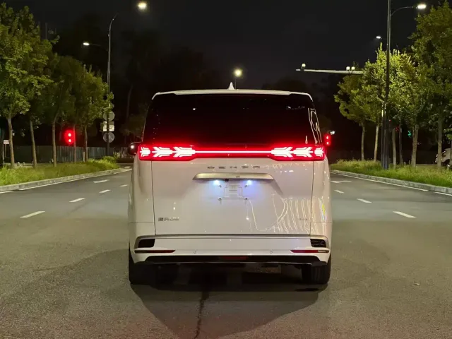 Denza Denza D9 2022 DM-i 1040 Premium — Фото автомобиля 8