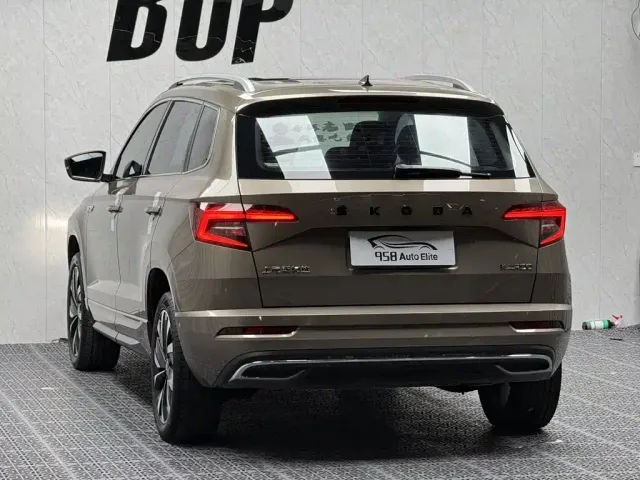 Skoda Karoq — Фото автомобиля 14