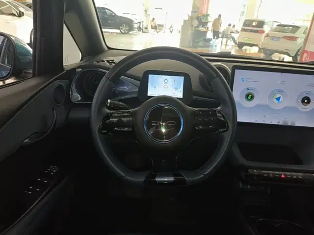 BYD Dolphin — Фото автомобиля 10