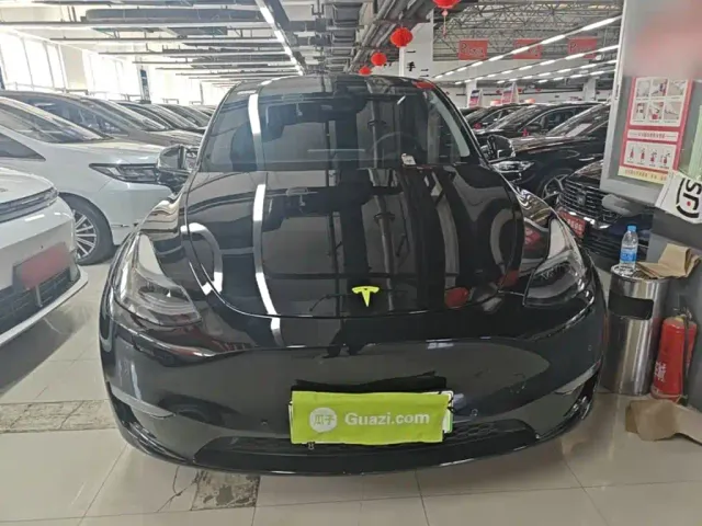 Tesla Model Y — Фото автомобиля 2