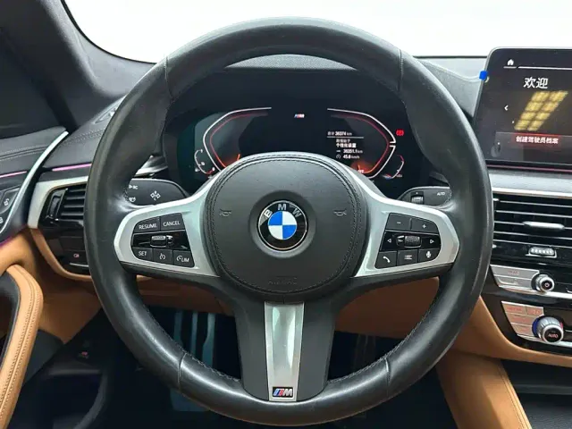BMW 5 Series — Фото автомобиля 14