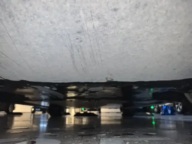 Tesla Model Y — Фото автомобиля 22