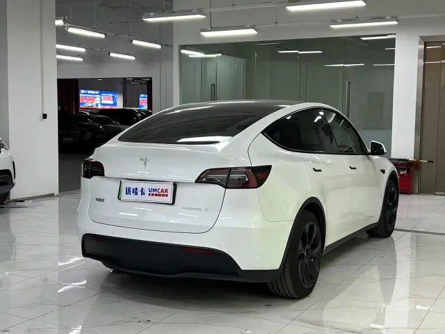 Tesla Model Y — Фото автомобиля 6