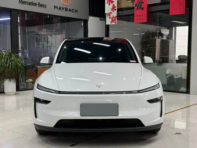 Tesla Model Y — Фото автомобиля 5