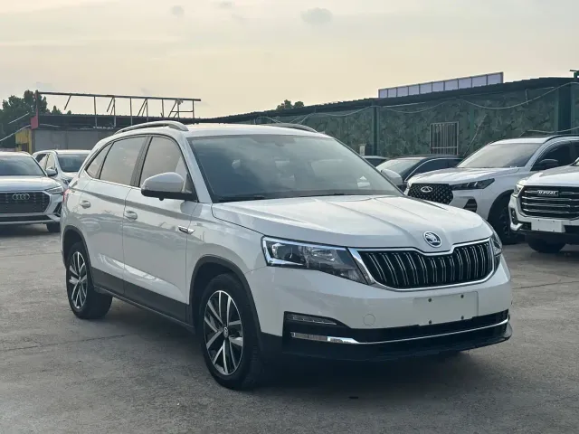 Skoda Kamiq — Фото автомобиля 3