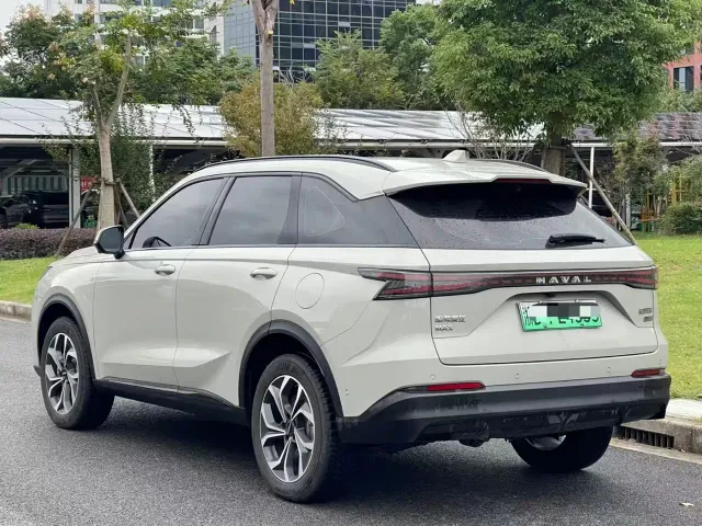 Haval Xiaolong MAX — Фото автомобиля 10