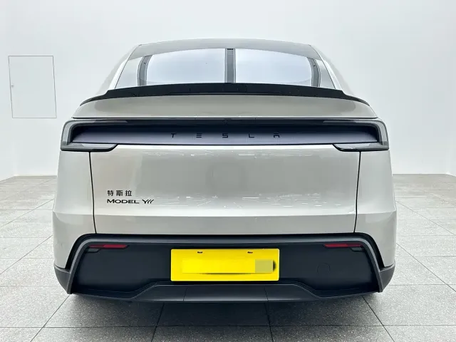 Tesla Model Y L — Фото автомобиля 6
