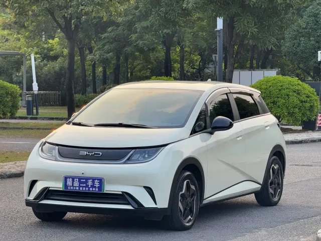 Фотография автомобиля — BYD Dolphin