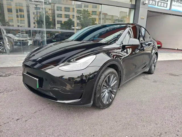 Tesla Model Y — Фото автомобиля 2