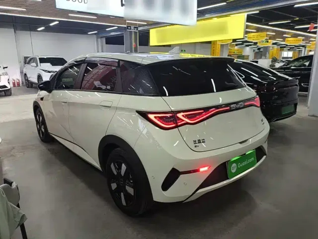 BYD Dolphin — Фото автомобиля 4