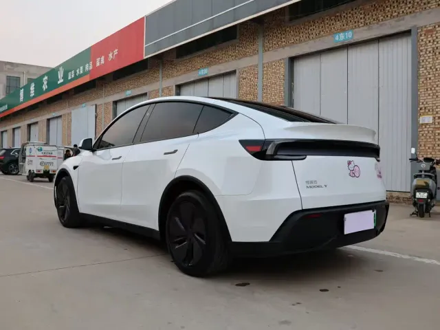 Tesla Model Y — Фото автомобиля 14