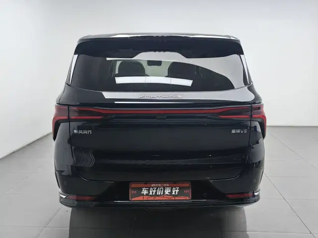 Forthing Xinghai V9 — Фото автомобиля 4