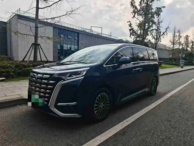 Фотография автомобиля — Denza D9