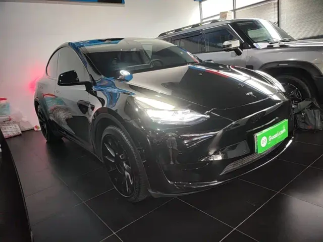 Tesla Model Y — Фото автомобиля 3