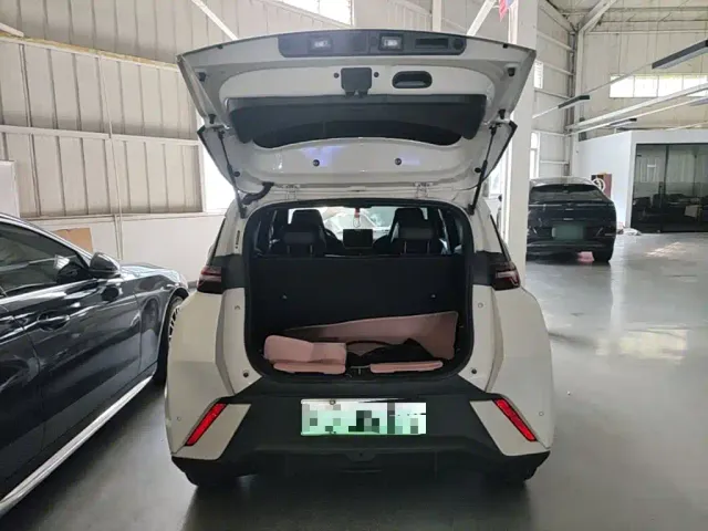 BYD Seagull — Фото автомобиля 18