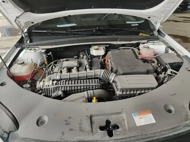 BYD Qin PLUS — Фото автомобиля 19