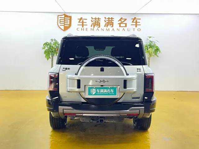 BYD FangChengBao Leopard 8 — Фото автомобиля 9