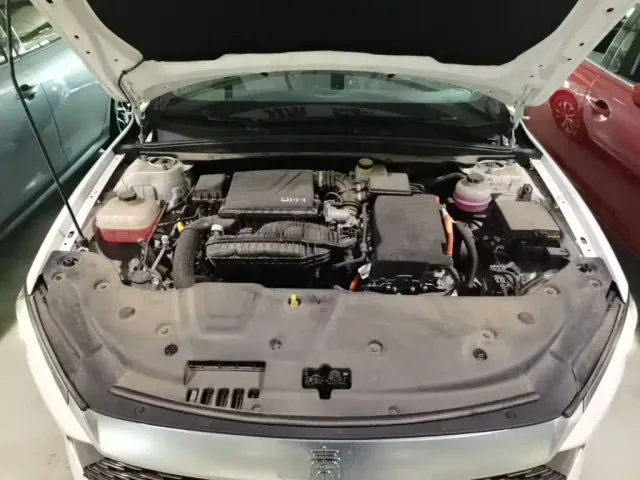 BYD Qin PLUS — Фото автомобиля 19