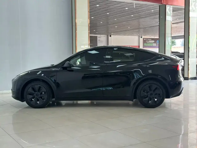 Tesla Model Y — Фото автомобиля 6