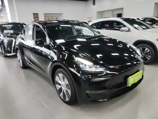 Tesla Model Y — Фото автомобиля 3