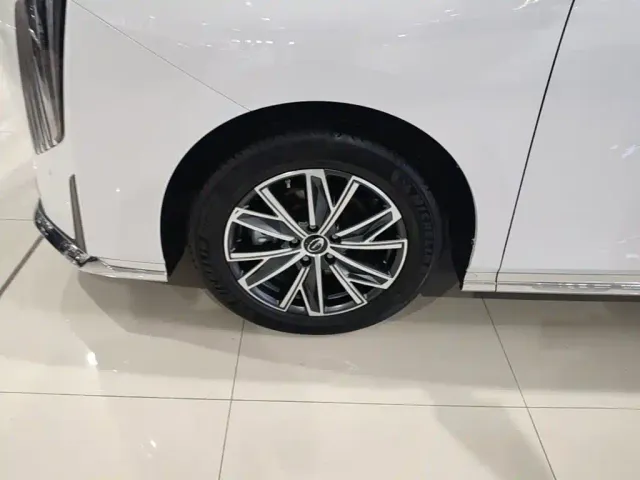 GAC Trumpchi M8 — Фото автомобиля 22