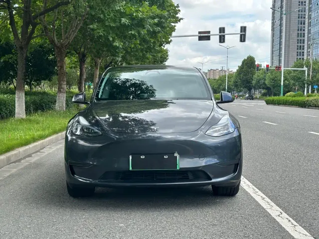 Tesla Model Y — Фото автомобиля 2