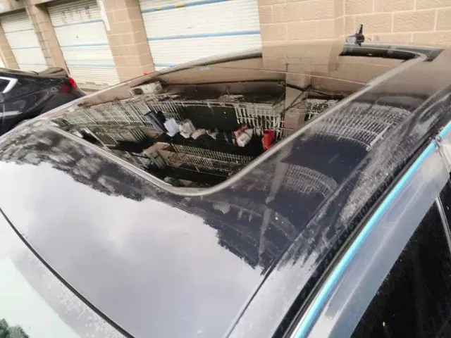 Volkswagen Passat — Фото автомобиля 6
