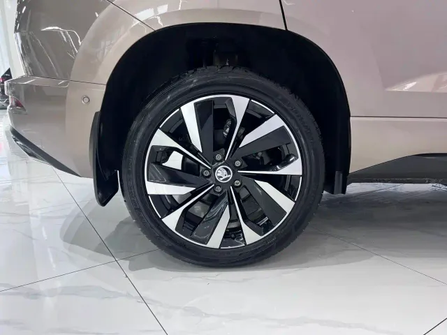 Skoda Karoq — Фото автомобиля 19