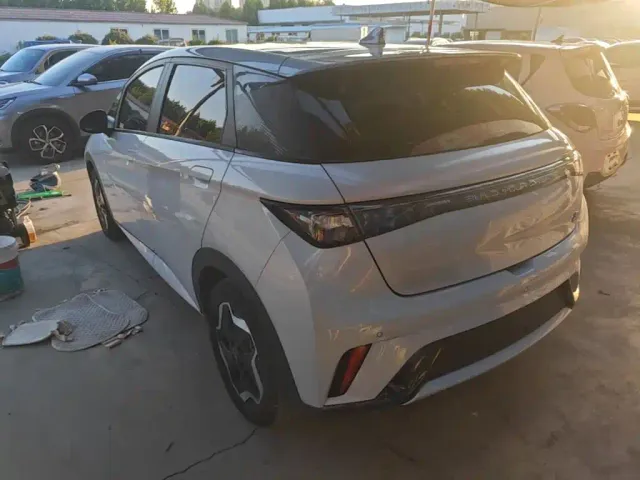 BYD Dolphin 2021 Model 405km Fashion Edition — Фото автомобиля 22
