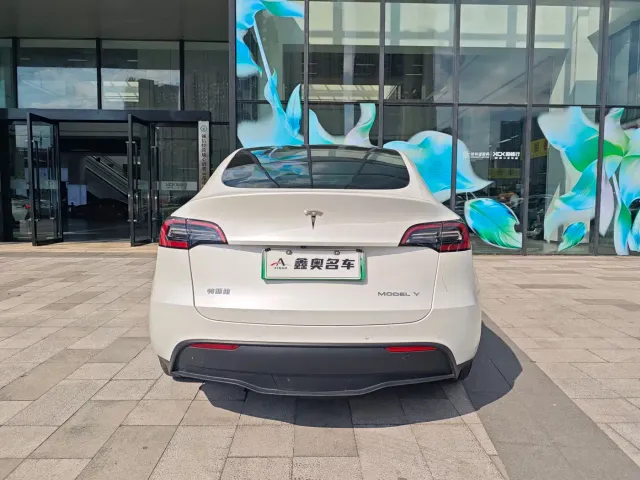 Tesla Model Y — Фото автомобиля 5