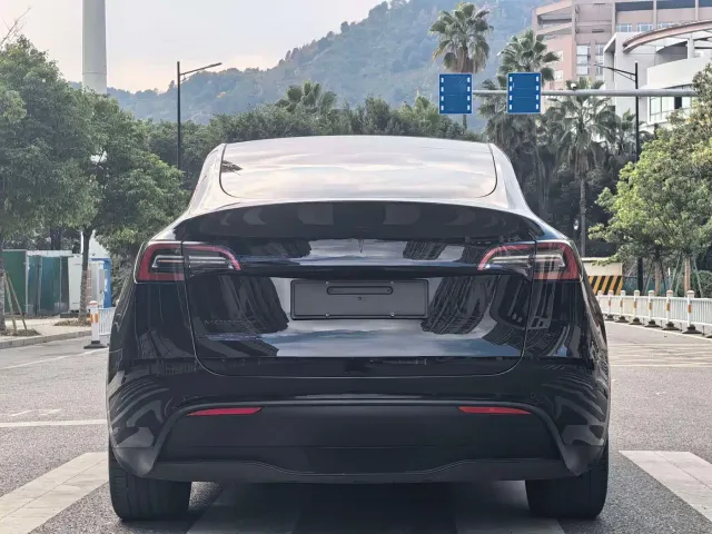 Tesla Model Y — Фото автомобиля 15