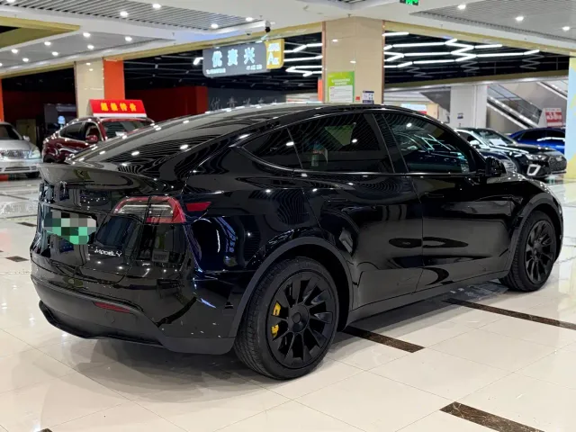 Tesla Model Y — Фото автомобиля 7