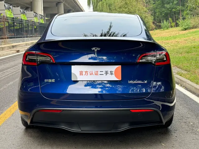 Tesla Model Y — Фото автомобиля 7