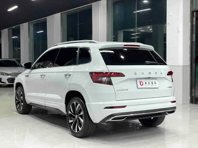Skoda Karoq — Фото автомобиля 6