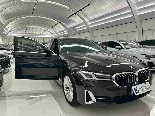 BMW 5 Series — Фото автомобиля 5