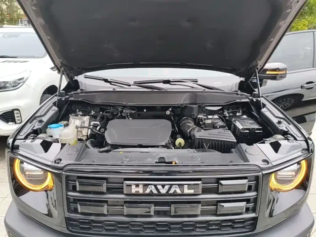 Haval Big Dog — Фото автомобиля 19