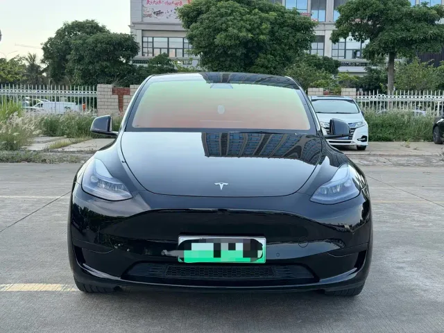 Tesla Model Y — Фото автомобиля 2