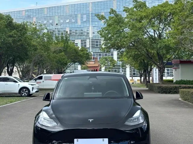 Tesla Model Y — Фото автомобиля 2