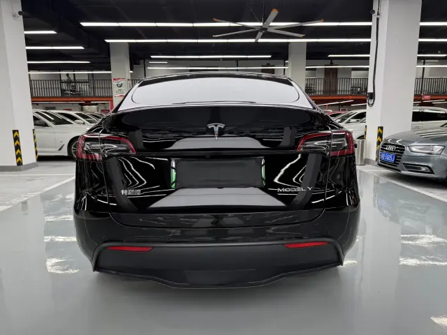 Tesla Model Y — Фото автомобиля 24