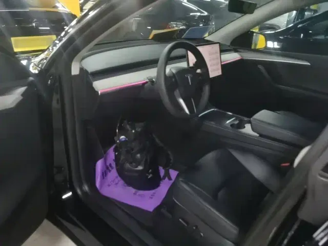 Tesla Model Y — Фото автомобиля 20