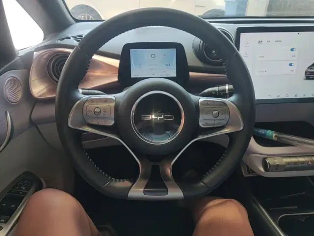 BYD Dolphin — Фото автомобиля 10