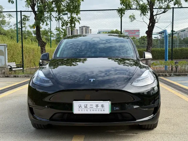 Tesla Model Y — Фото автомобиля 2