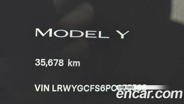 Tesla Model Y — Фото автомобиля 11