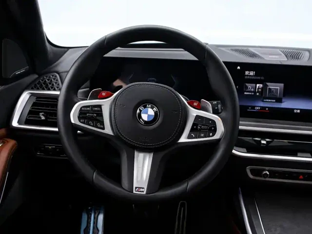 BMW X7 — Фото автомобиля 7