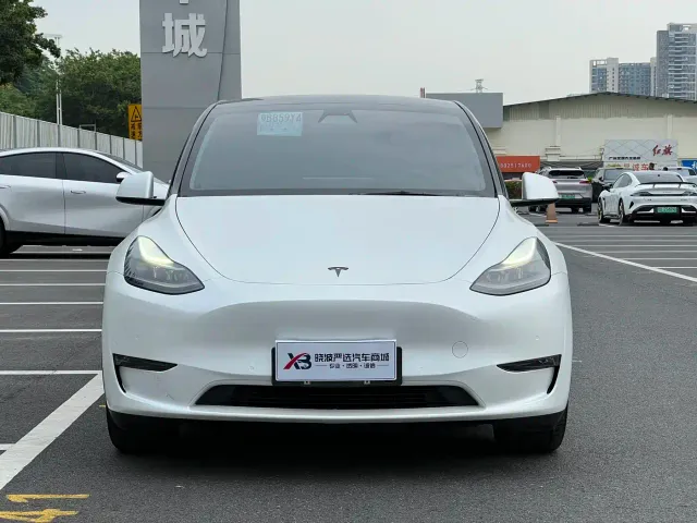 Tesla Model Y 2021 Standard Range Rear-Wheel Drive — Фото автомобиля 3