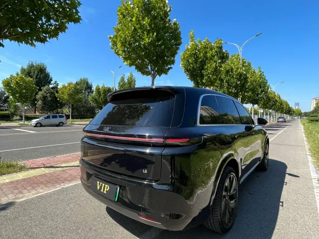 Li Auto L8 — Фото автомобиля 9