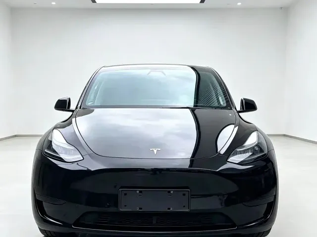 Tesla Model Y — Фото автомобиля 2
