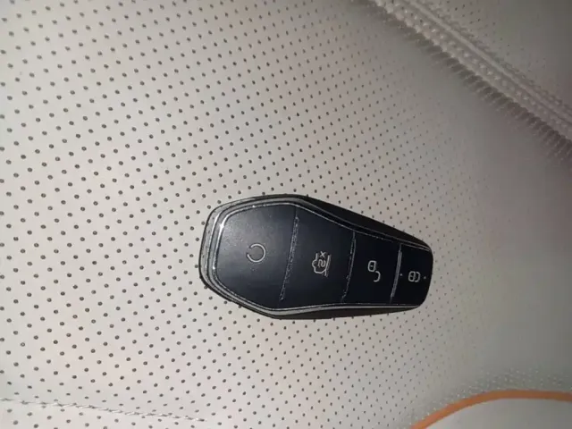 BYD Qin PLUS 2023 Champion Edition EV 610KM Excellence — Фото автомобиля 16