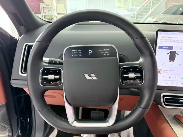 Li Auto L9 — Фото автомобиля 11